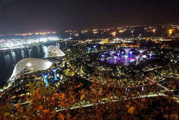 Singapur | Sightseeing: Gardens by the Bay 