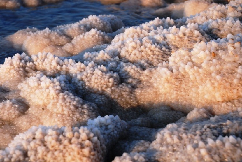 Kumpulan Berita Umum FENOMENA GLOBAL WARMING (PEMANASAN