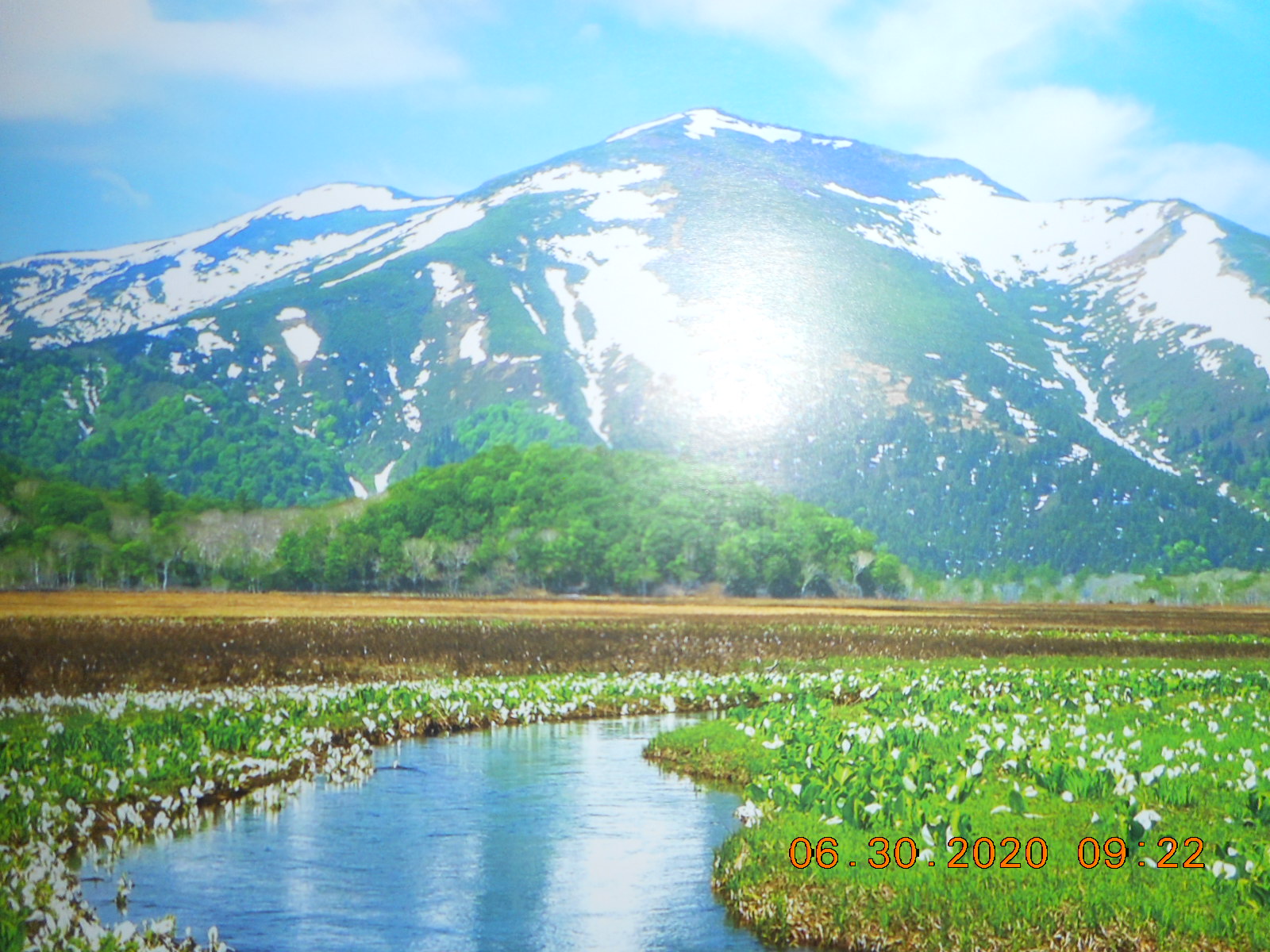 Kayo Kyoku Plus January 2021