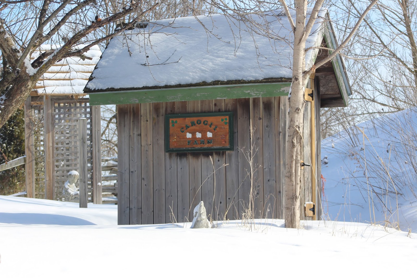 Carogil Farm February Stroll