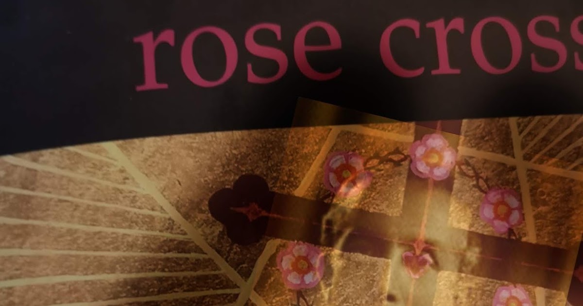 Die Kunst Ein Egoist Zu Sein Wiki Die Kunst Ein Egoist Zu