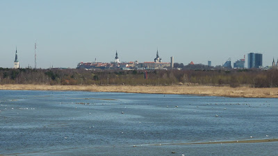 Vue sur Tallinn depuis Rocca Al Mare