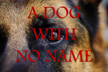A Dog With No Name | An Original Novel