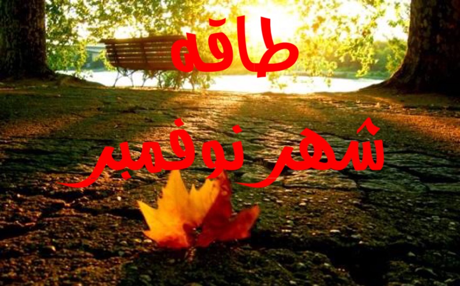 أرقام ومعاني روحانية لشهر نوفمبر بقلم منى الغضبان