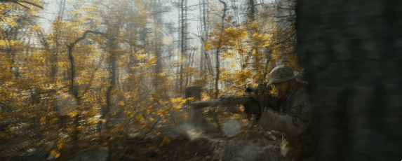 2.gif