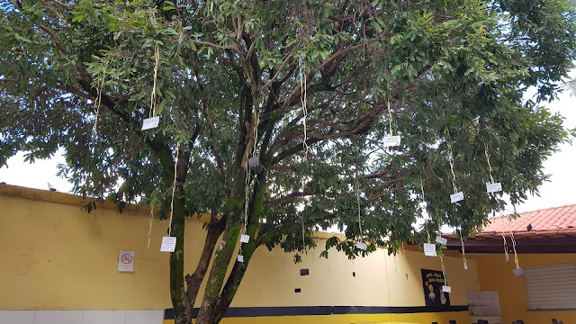 COLÉGIO EQUIPE DE TOCANTINS – MG