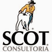 Parceiro - Scot Consultoria