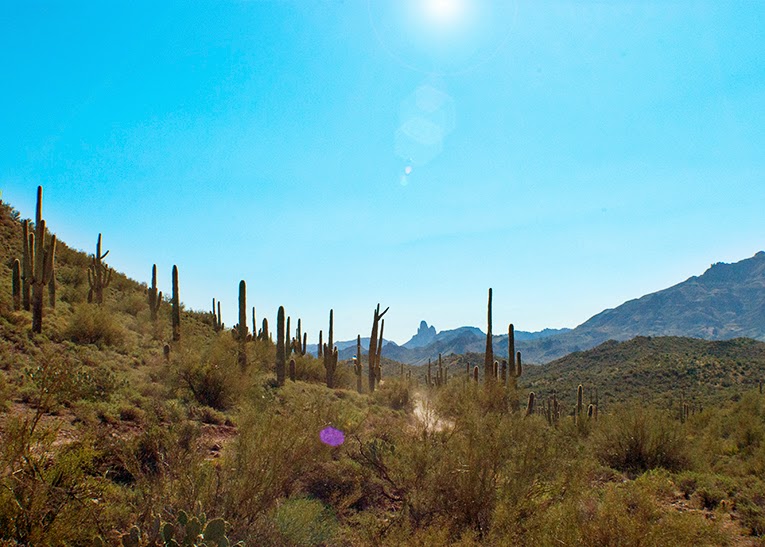 bull-dog-canyon-apache-junction-arizona Apache Junction, Arizona || www.isntthatsew.com