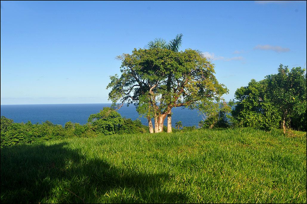 Cabrera North Coast Dominican Republic Cabrera Property for sale