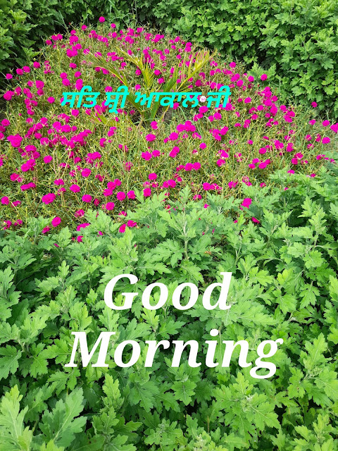 Good Morning Sat Shri Akal Ji