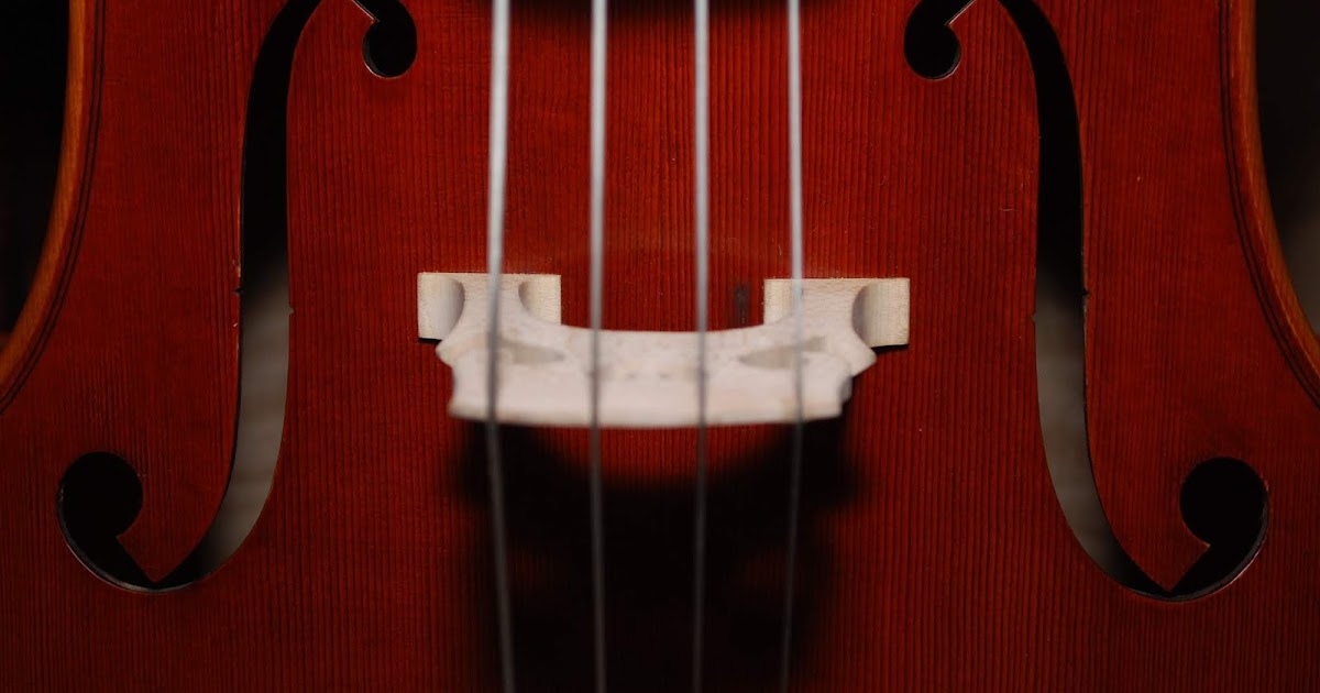 Meet the Instruments String Family
