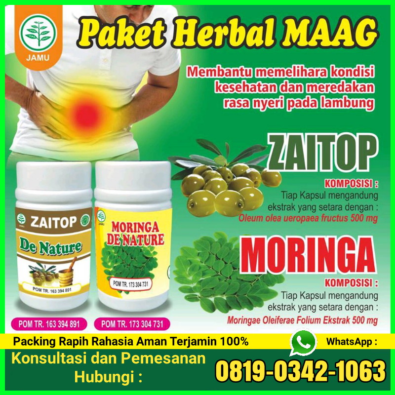 Nama Tanaman Herbal untuk Atasi Penyakit Asam Lambung - penyakit maag
