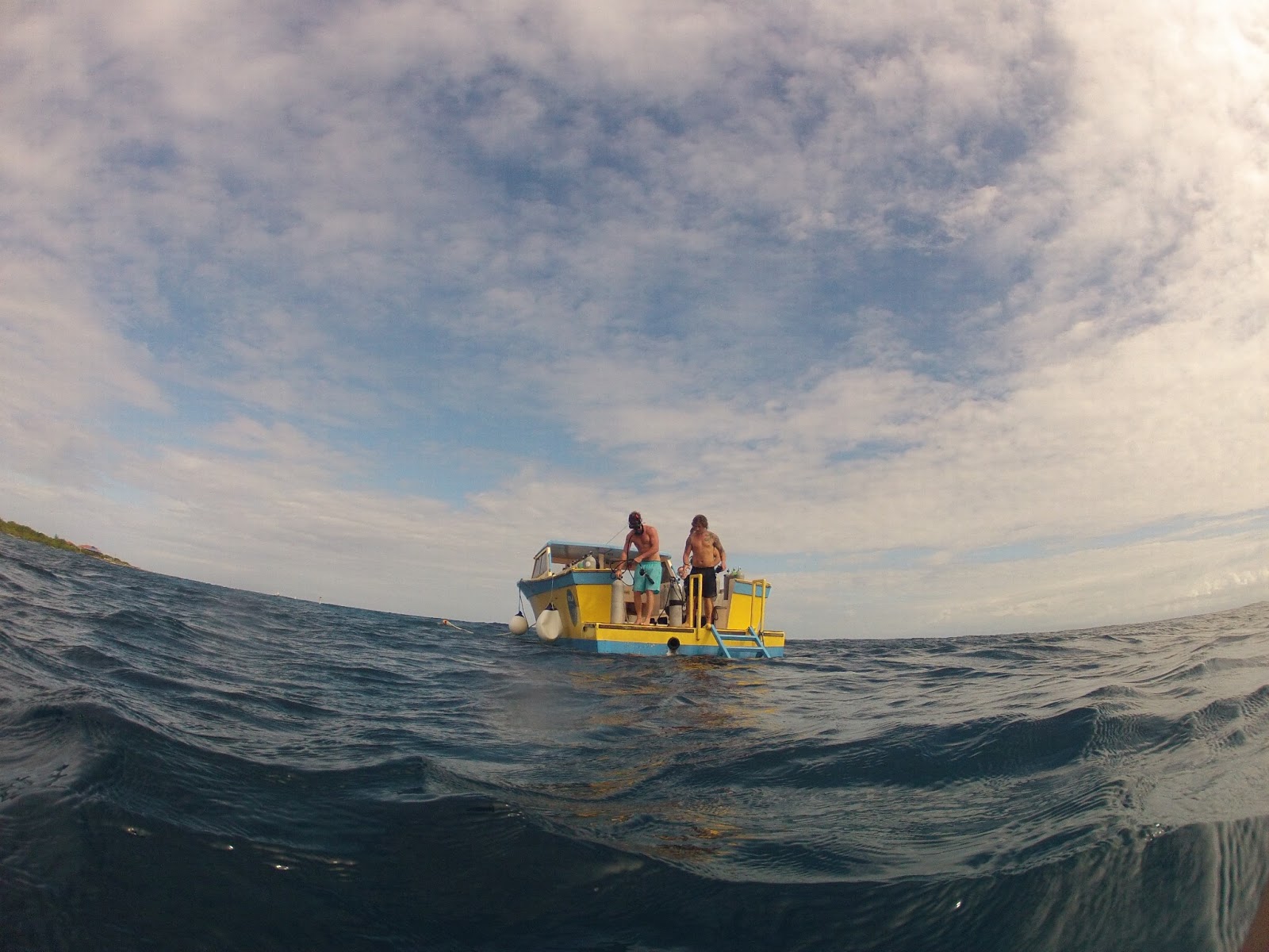 On the Road Again: Ryan's 100th (naked) dive and general dive ban…