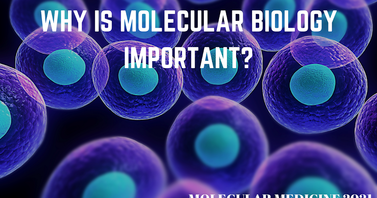 WHY IS MOLECULAR BIOLOGY IMPORTANT?