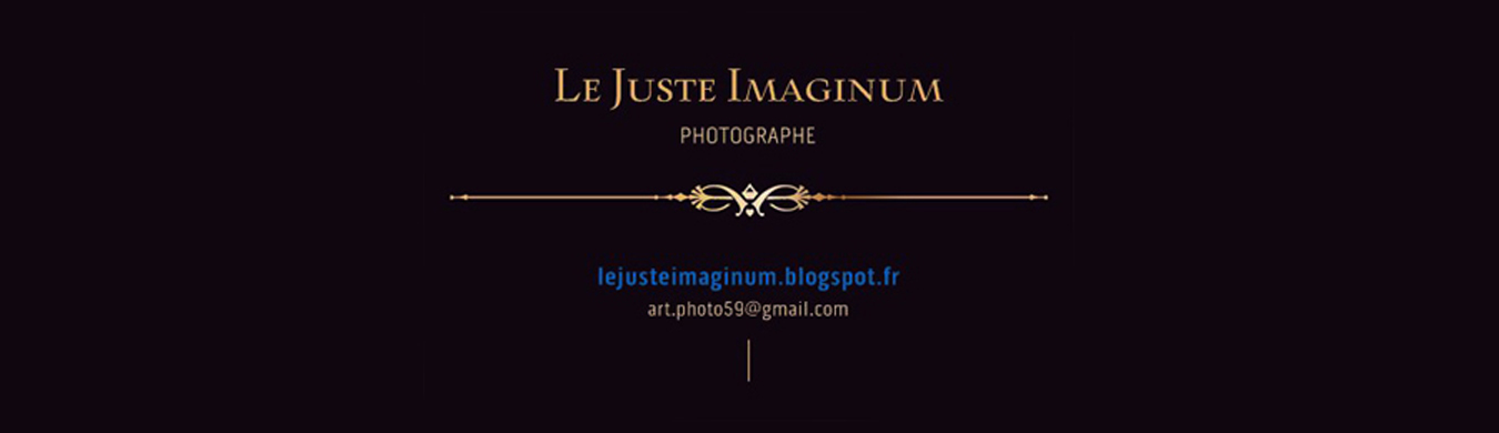 LE JUSTE IMAGINUM