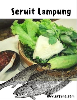 Cultural celebration of Seruit Lampung in a village event