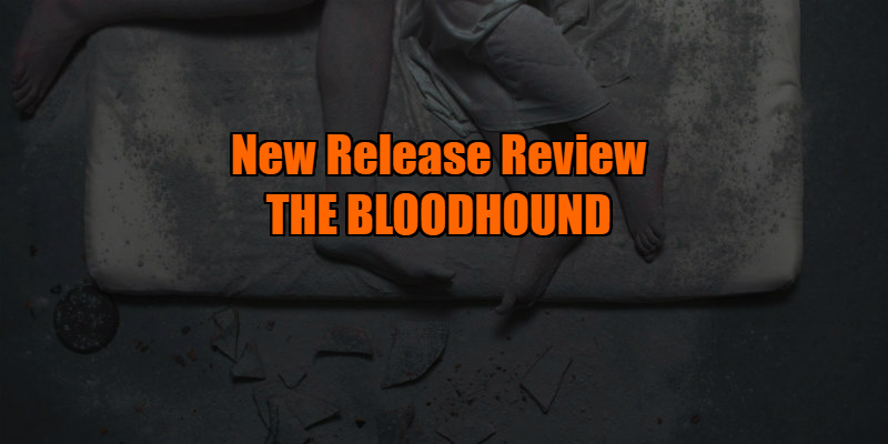 the bloodhound review