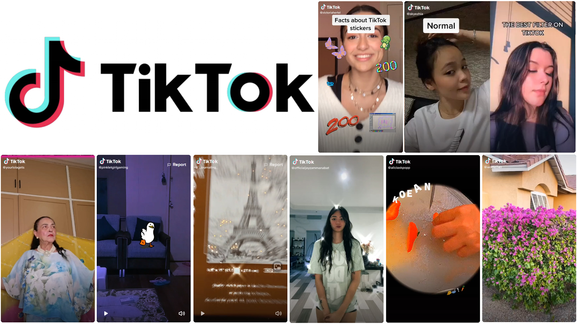 Boost Your Content Creativity with TikTok Stickers and Filters This New Year Mommy's MAG Life