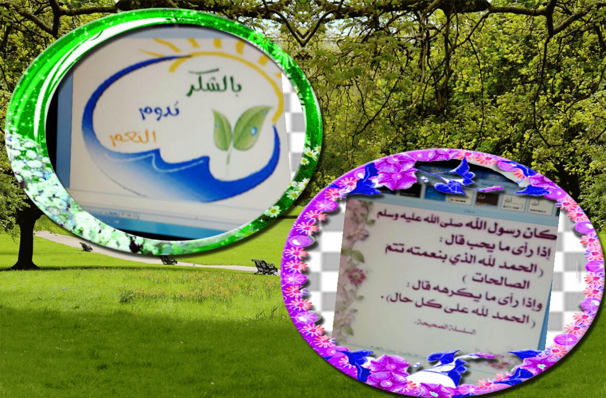 الإبتدائية الرابعة للبنات بأبوعريش تنفيذ برنامج ( بالشكر تدوم النعم الإبتدائية الرابعة للبنات بأبوعريش تنفيذ برنامج ( بالشكر تدوم النعم