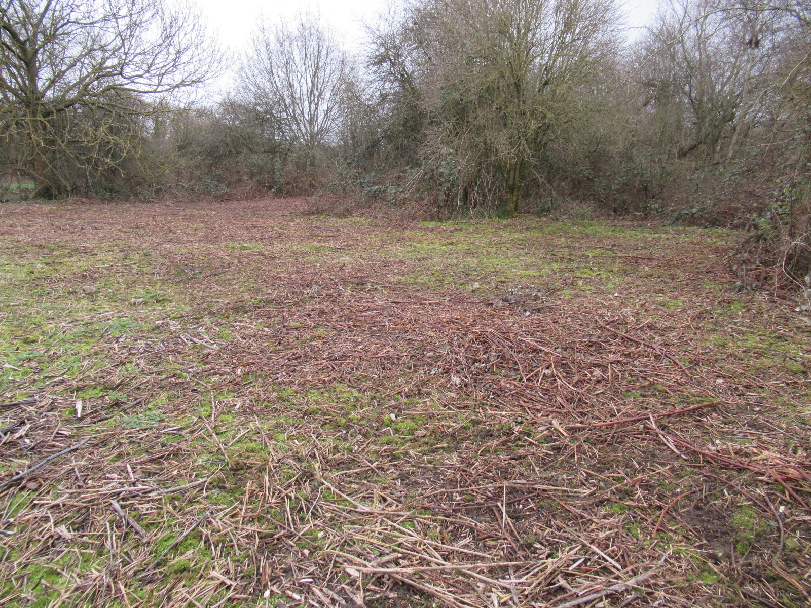 Ham Photos Working in Ham Lands