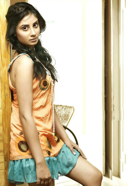 Actress Bhanu Sri Mehra Hot Image Gallery 2