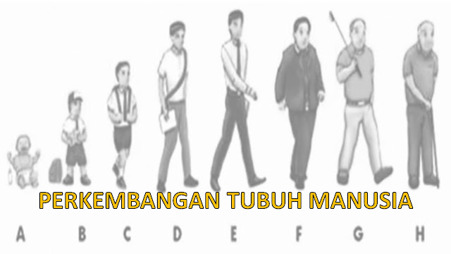 MATERI PJOK PERKEMBANGAN TUBUH REMAJA KELAS 7 SMP KREATIF DAN INOVATIF