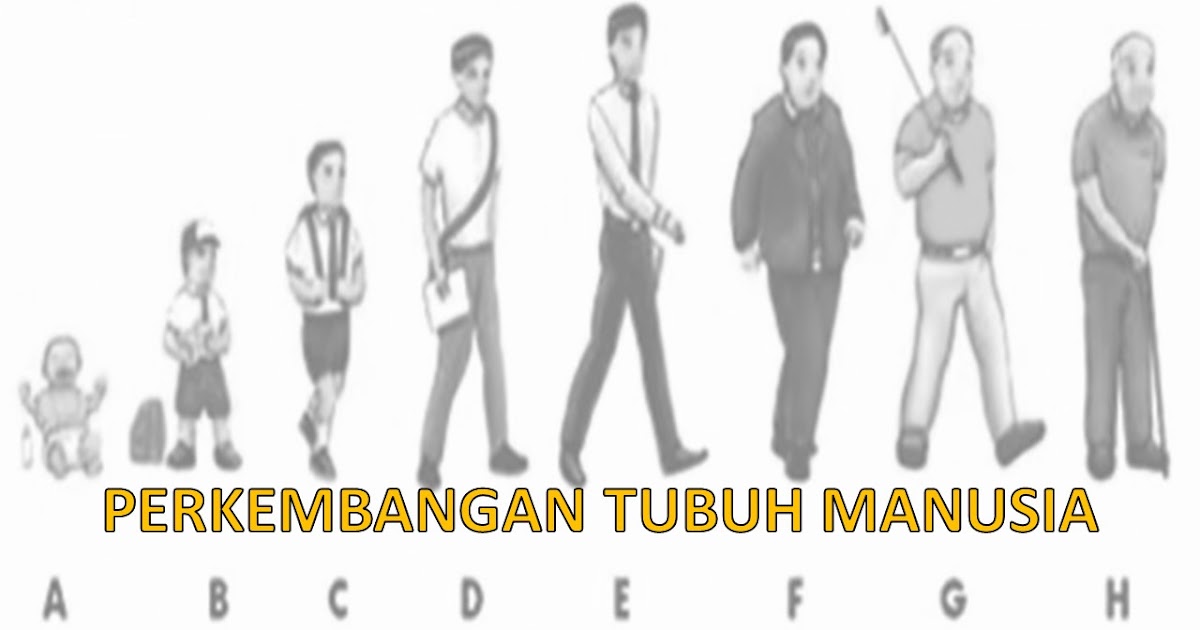 MATERI PJOK PERKEMBANGAN TUBUH REMAJA KELAS 7 SMP KREATIF DAN INOVATIF
