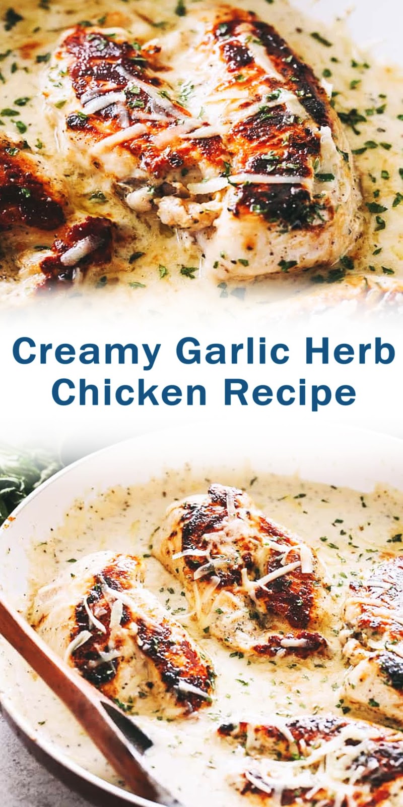 Creamy Garlic Herb Chicken Recipe