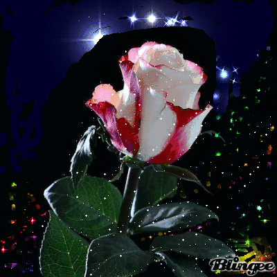 Beautiful+Rose.gif