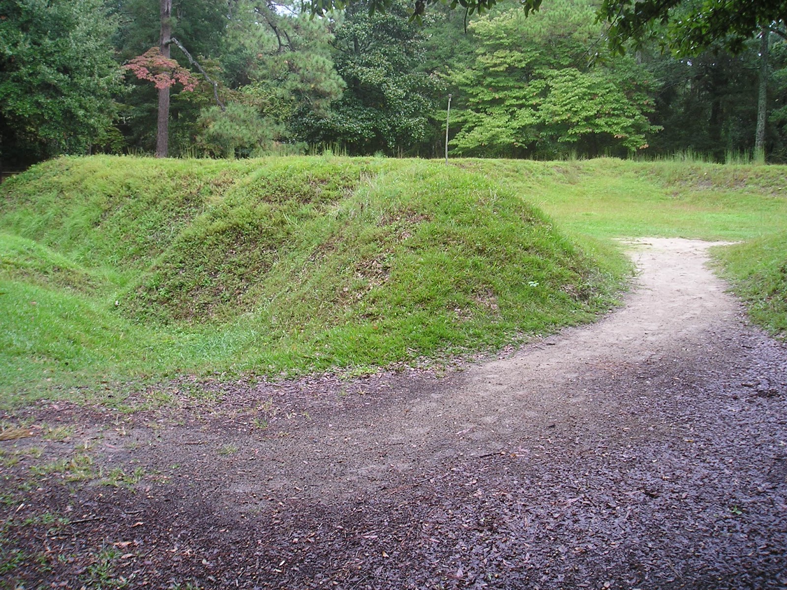 Chicken Fat Roanoke, North Carolina, Lost Colony