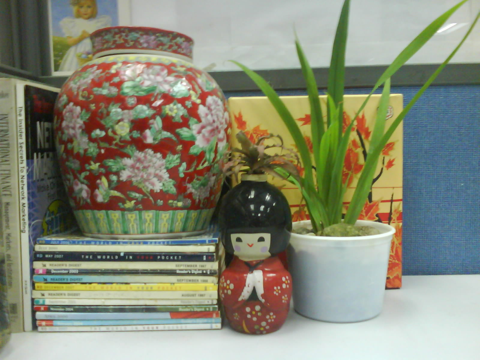 Garden Chronicles Indoor Plants For The Office Desk Top