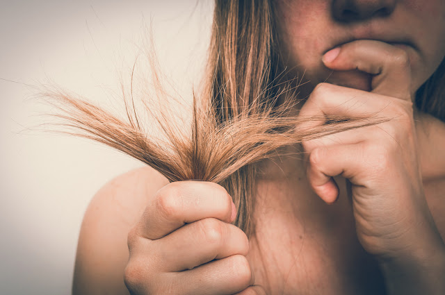 C'est ce que fait le calendula pour cheveux, ils ressembleront à des cheveux commerciaux!