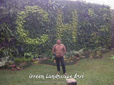 Jasa Tukang Vertical Garden Sukamara - Jasa Pemasangan Taman Dinding di Sukamara Jasa Tukang Vertical Garden Sukamara - Jasa Pemasangan Taman Dinding di Sukamara