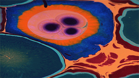 垂らした絵具がアートに まるで細胞のように見える 驚異的なマーブリング A ミライノシテン