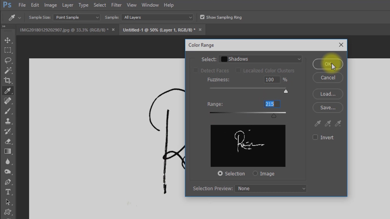 create handwritten signature logo for photography screenshot 3