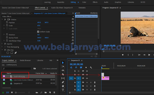 Mengedit Green Screen di Premiere