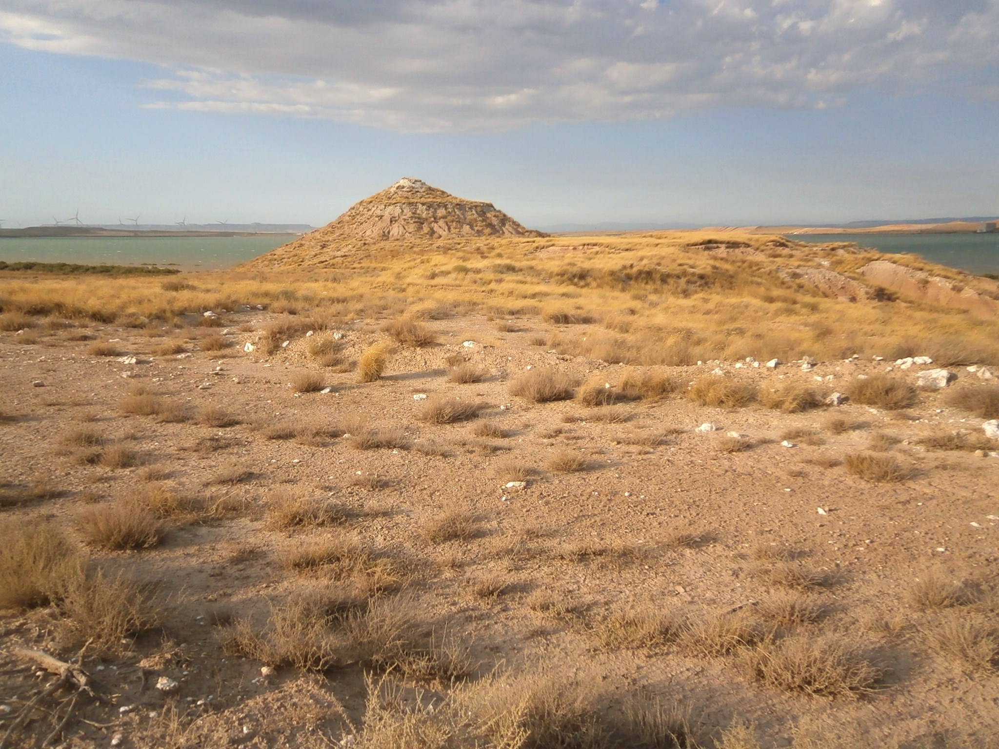 Centro de Estudios Borjanos Naturaleza en el embalse de la Loteta