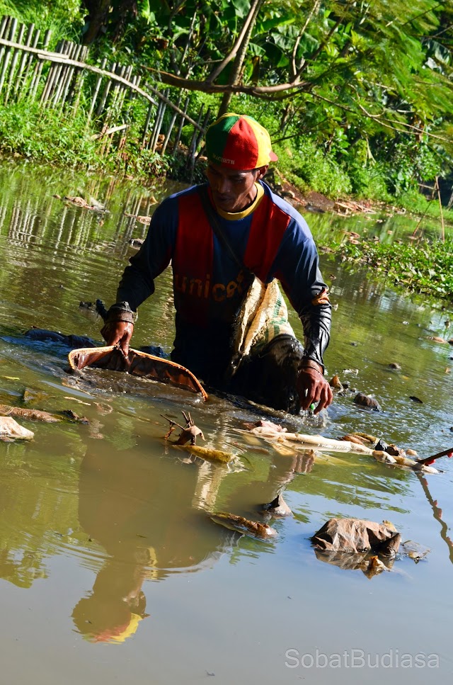 Pengerukan Setu Parigi Bukan Solusi