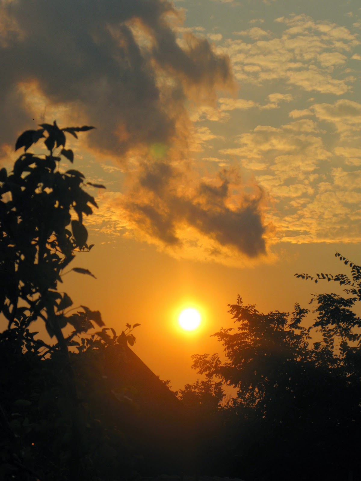 золотое солнце. лсп солнце золотое клип. солнце золотое лсп. солнце золотое исполнитель. золотое солнце над тобой.