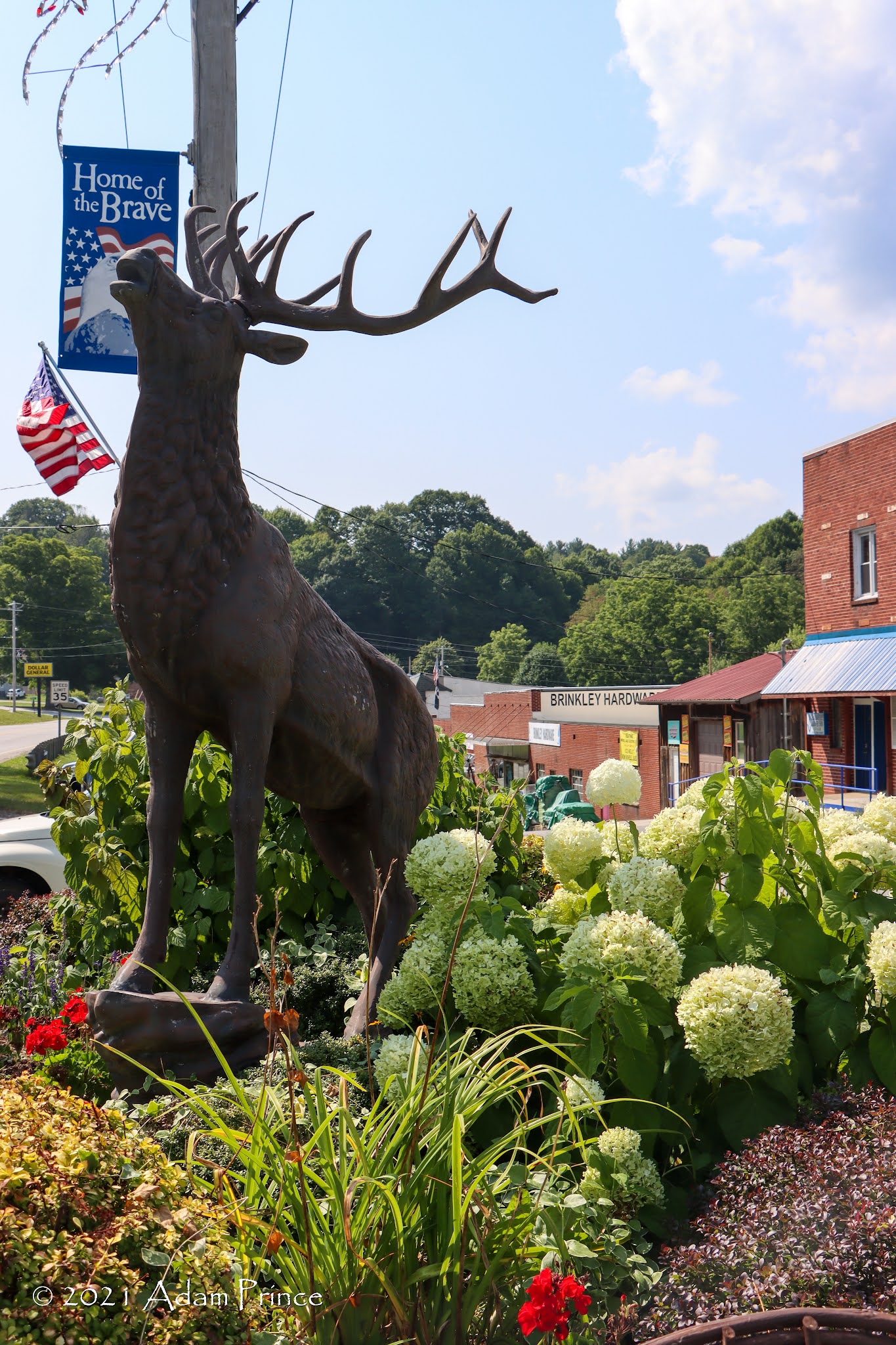 Elk Park Gaylord Mi 95 - lrzry4d