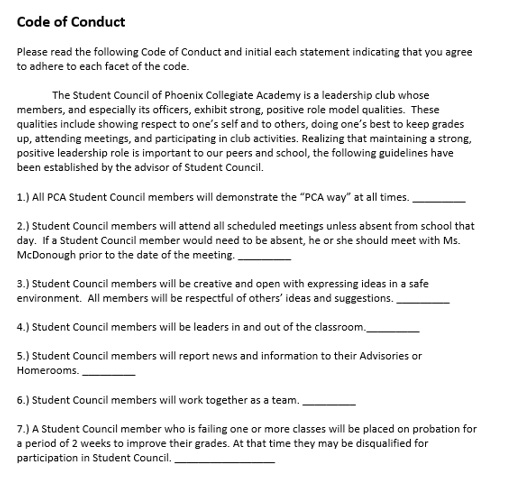 The pca essay picture