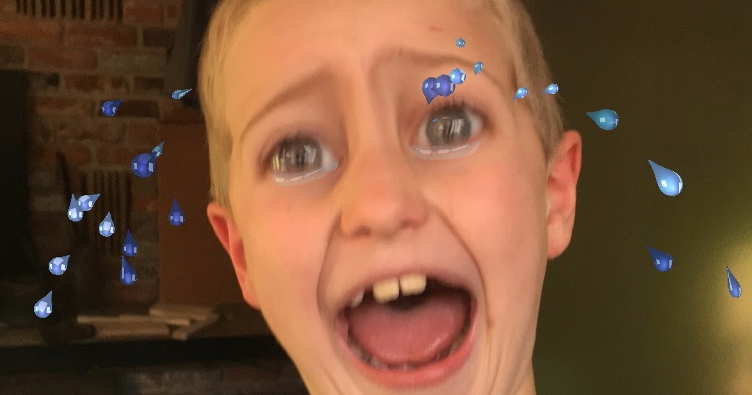 Twin Firs Adventures Funny Filters