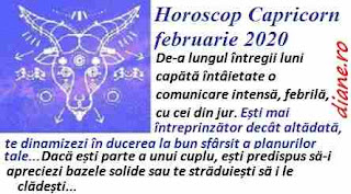 Horoscop februarie 2020 Capricorn 
