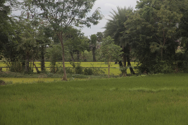 nature tamil nadu