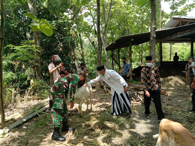 Berikan Bantuan Sapi, Bupati Demak Tinjau Peternakan Di Banyumeneng, Mranggen 