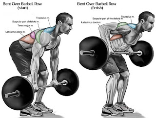 Top 5 Exercises To Build Wide Muscular Back, Bent Over Rows Top 5 Exercises To Build Wide Muscular Back, Bent Over Rows
