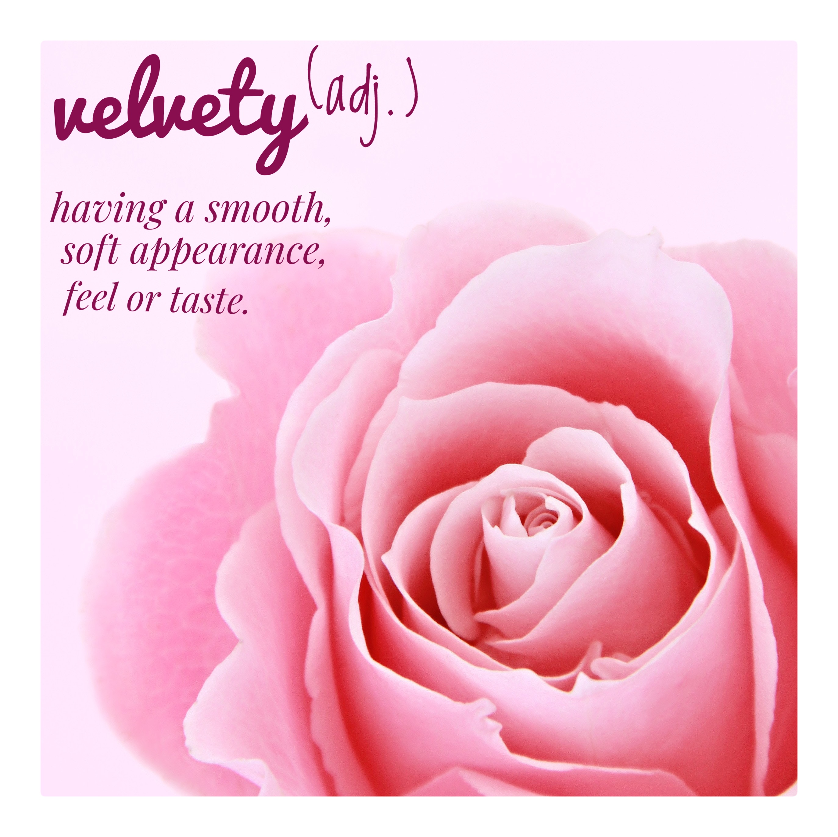 Word of The Day VELVETY Eltnest