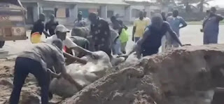 Duba yadda Kwastam ta kama tabar wiwi ta fiye da Naira Miliyan 91 ɓoye a motar yashi a Legas Duba yadda Kwastam ta kama tabar wiwi ta fiye da Naira Miliyan 91 ɓoye a motar yashi a Legas