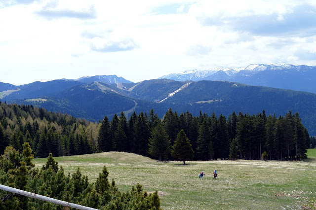 escursioni trekking passeggiate folgaria lavarone