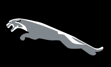 McMicroDesigns Jaguar logo incomplete - McMicroDesigns
